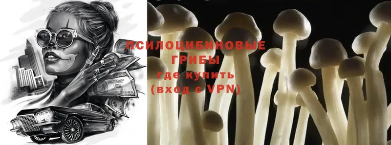 Галлюциногенные грибы MAGIC MUSHROOMS  где купить наркоту  Бийск 